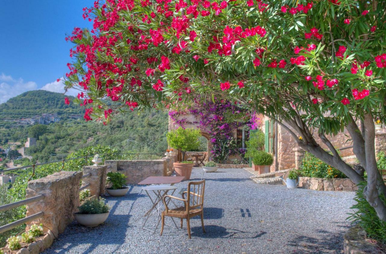 Villa Sole بورجيو فيريزي المظهر الخارجي الصورة
